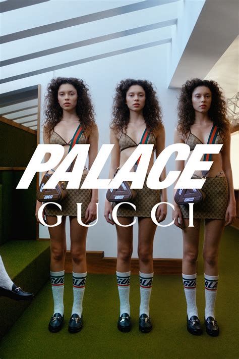 palace gucci wikipedia